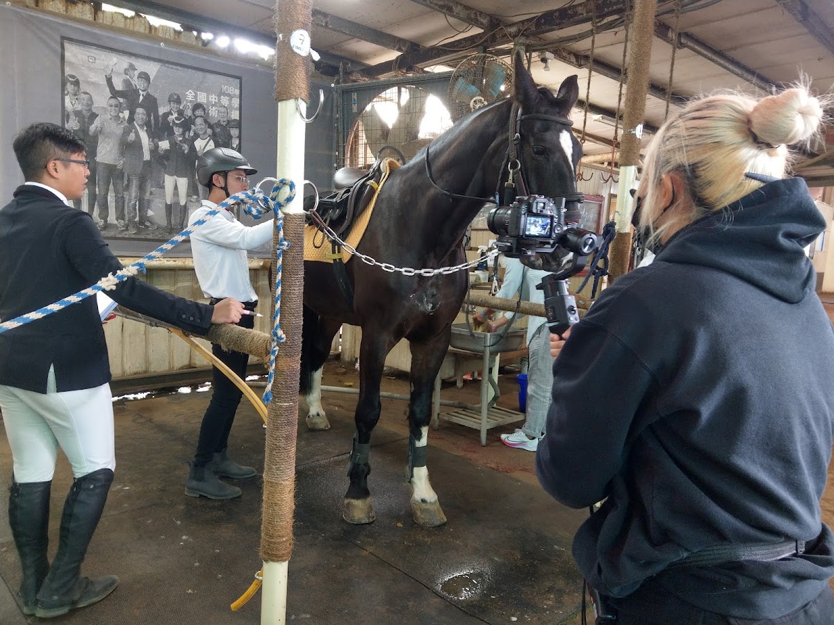 綠野馬術文創園區 店內環境照片 2