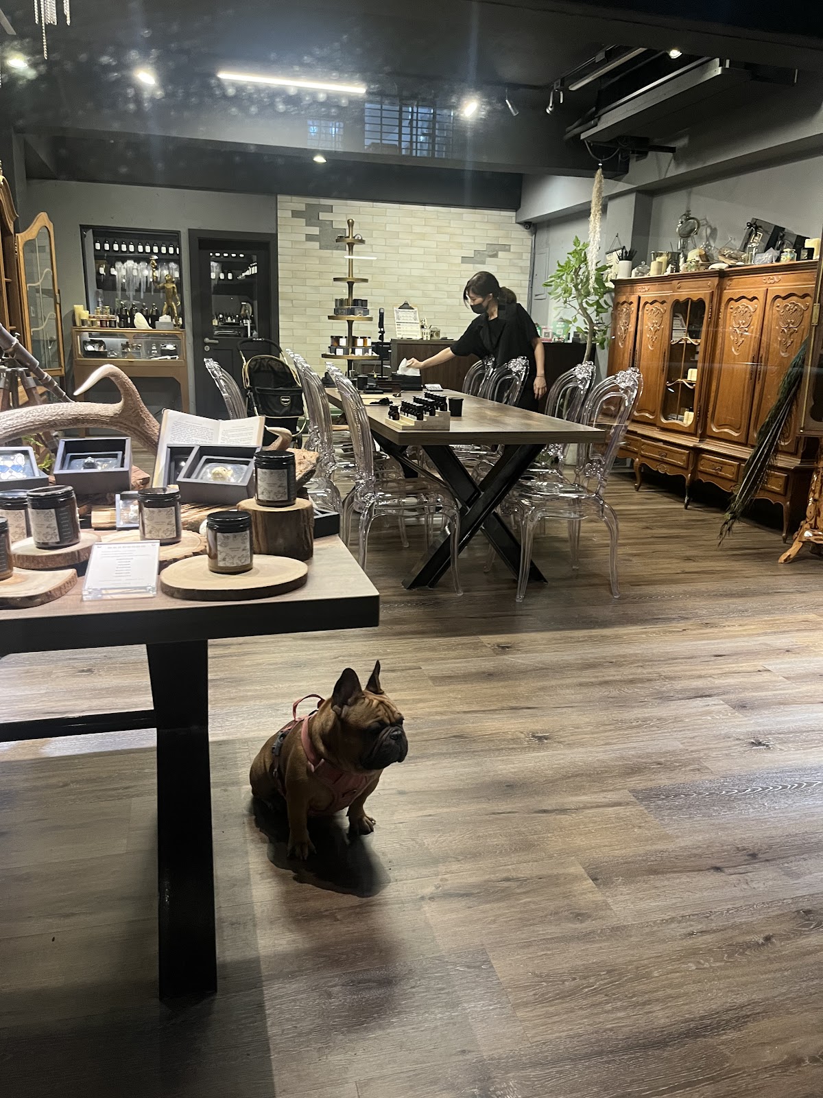 WISH TREE 香氛蠟燭（信義店） 店內環境照片 3