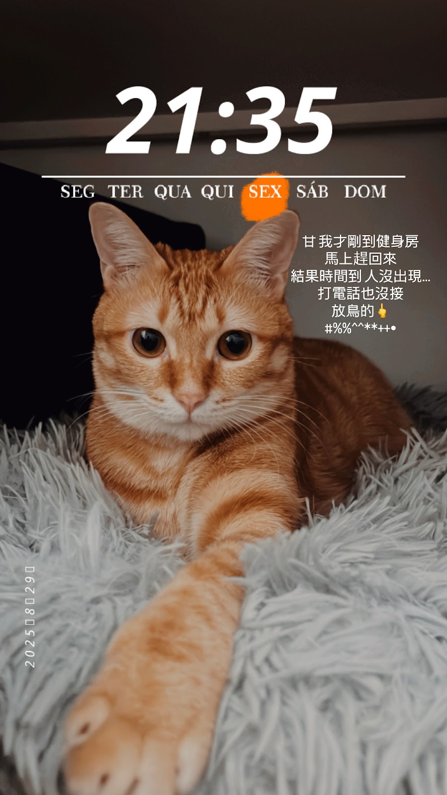貓巷-三重按摩|刮痧拔罐|舒壓推拿|筋骨放鬆|筋膜調理 店內環境照片 2