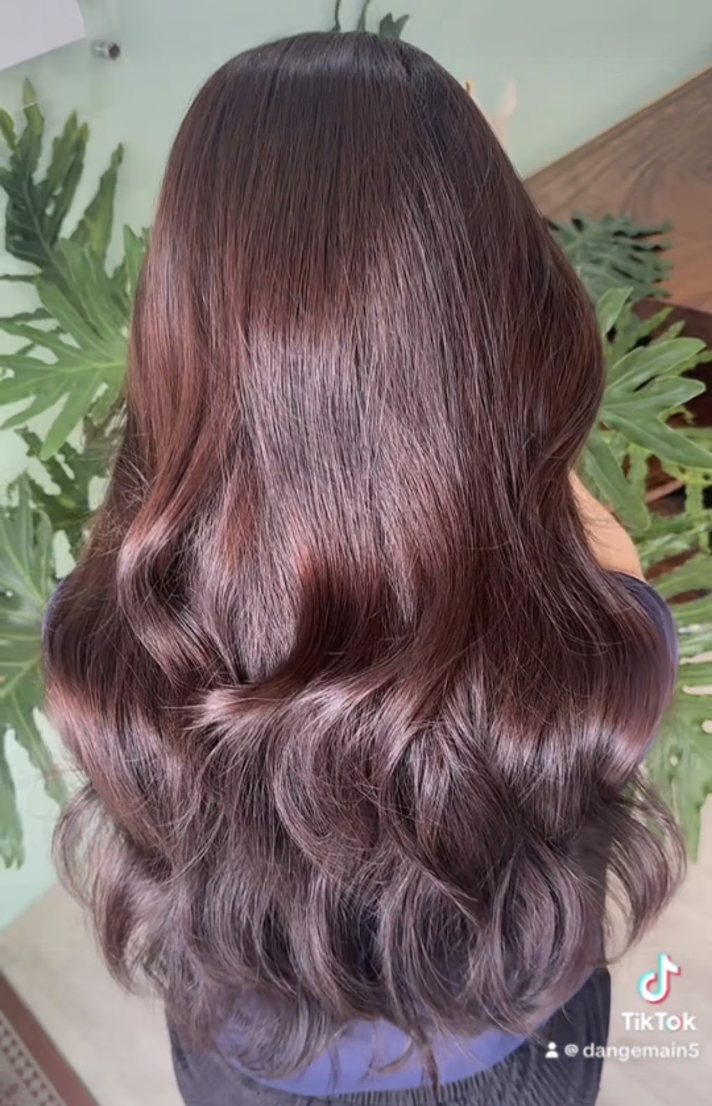 蔓朵.髮salon de la main d'ange（海線歐美手刷染推薦） 店內環境照片 10