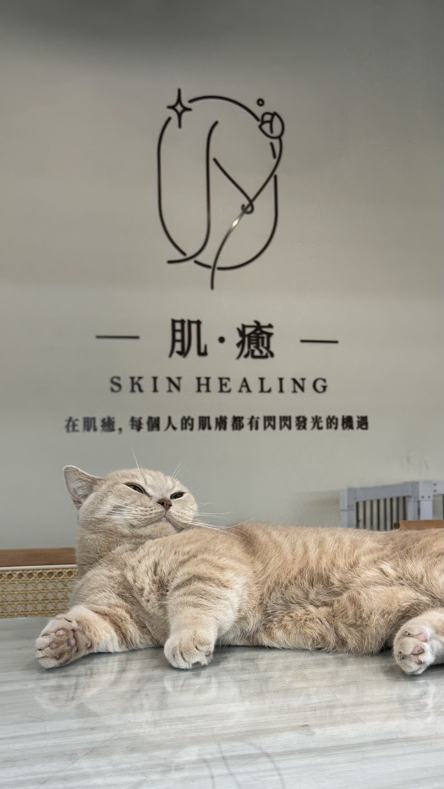 肌·癒皮膚管理中心 店內環境照片 8
