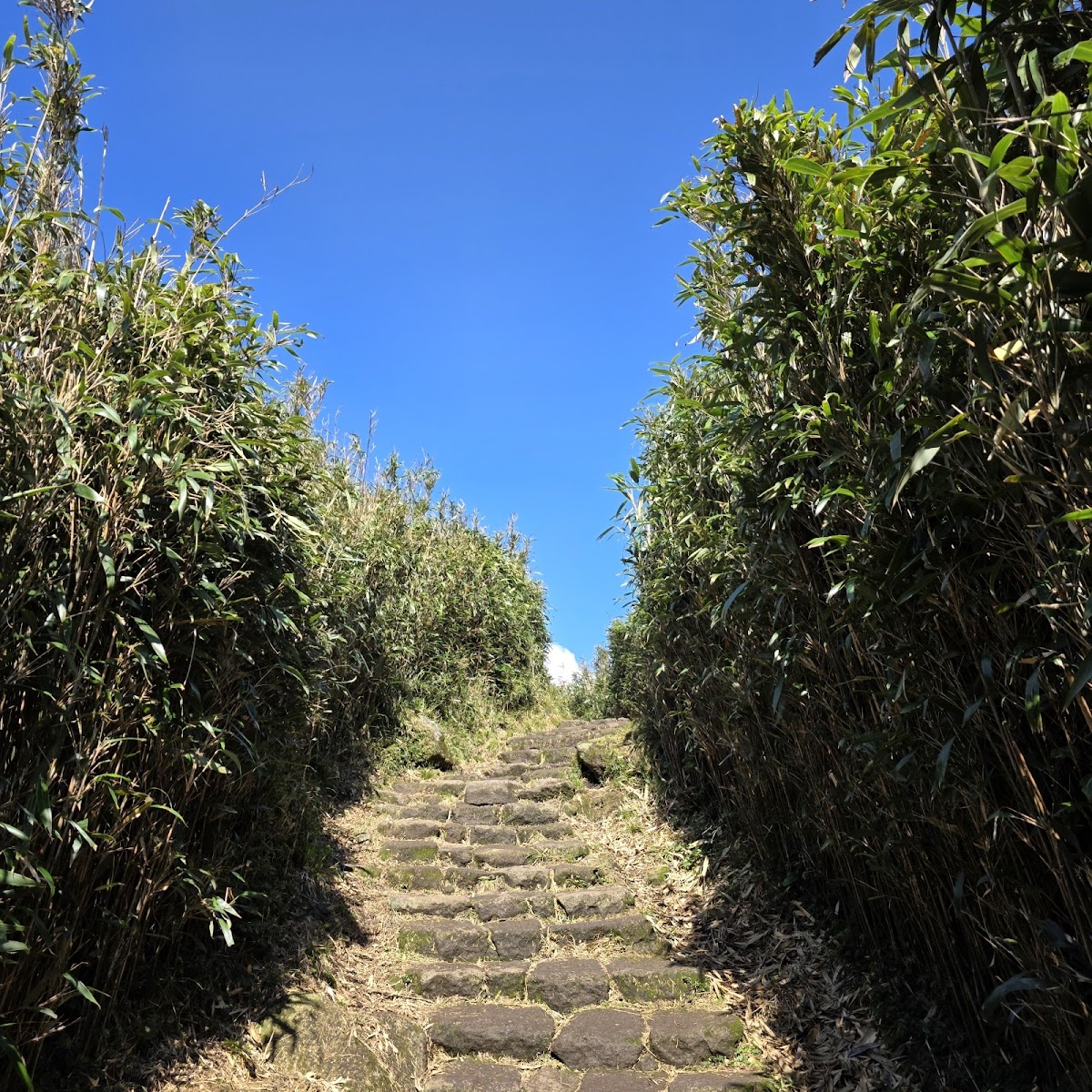 七星山主峰 店內環境照片 10