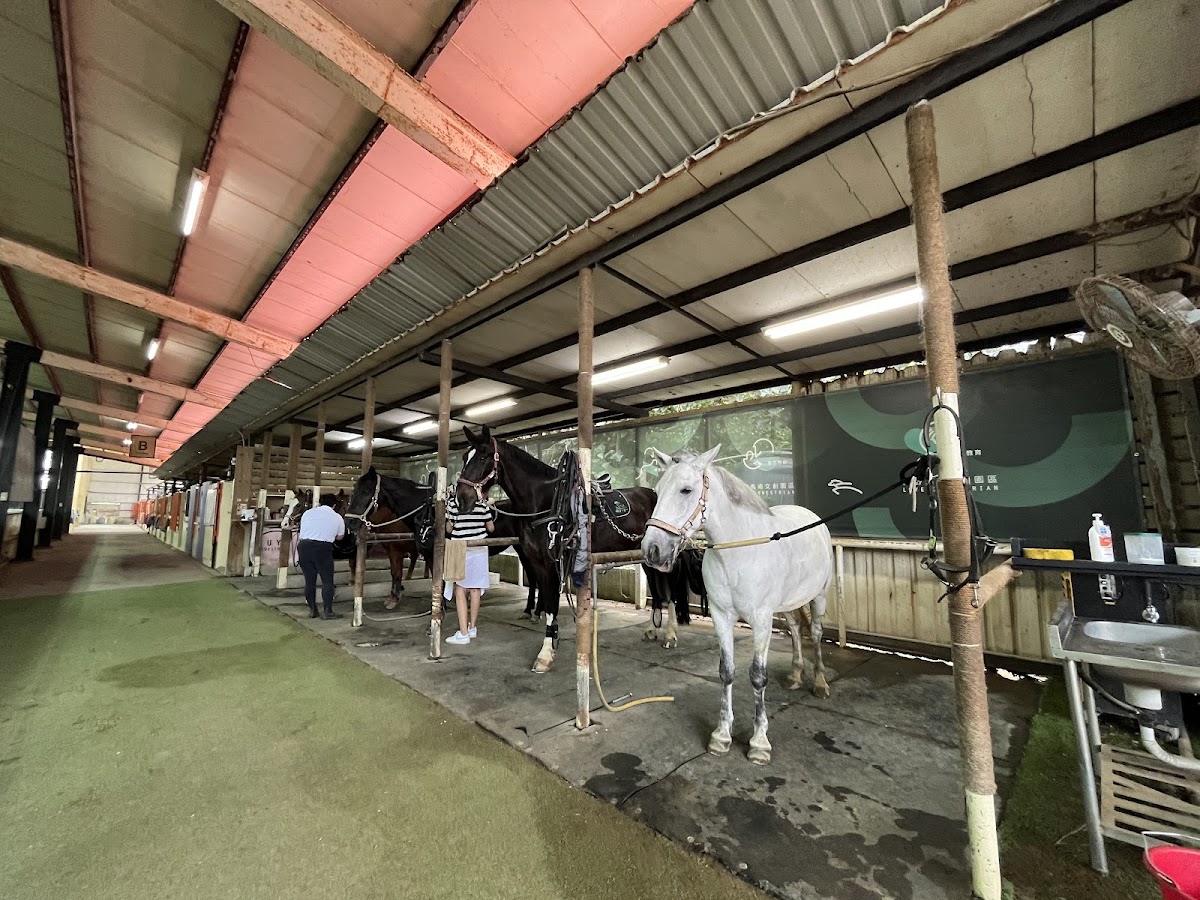 綠野馬術文創園區 店內環境照片 5