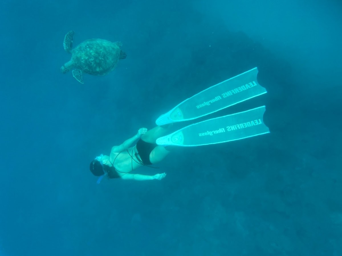 台北意潛自由潛水 freediving 店內環境照片 4