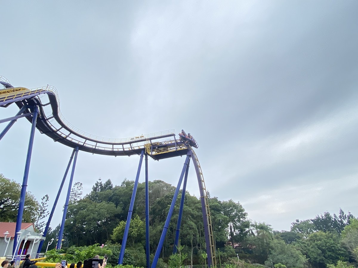 劍湖山世界主題樂園 店內環境照片 5