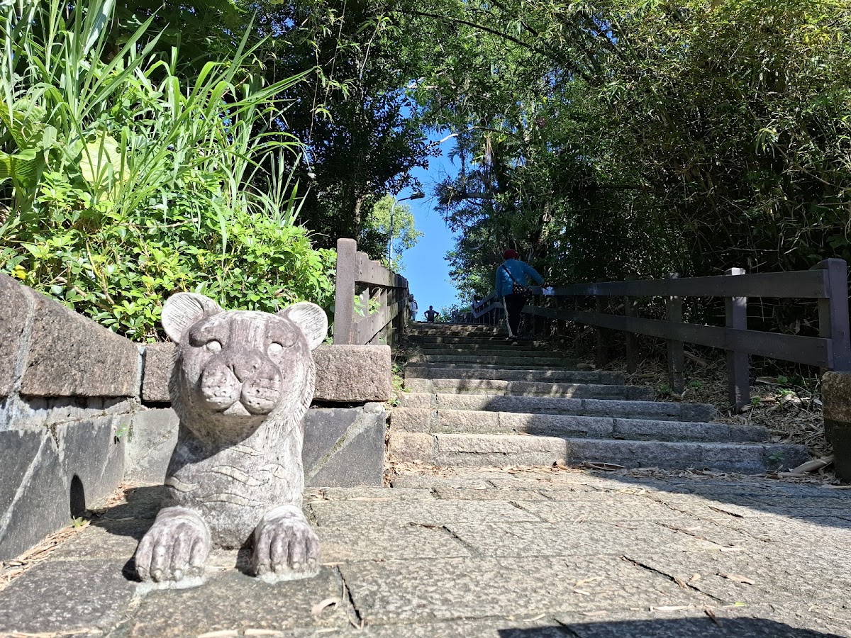 虎山峰 店內環境照片 5