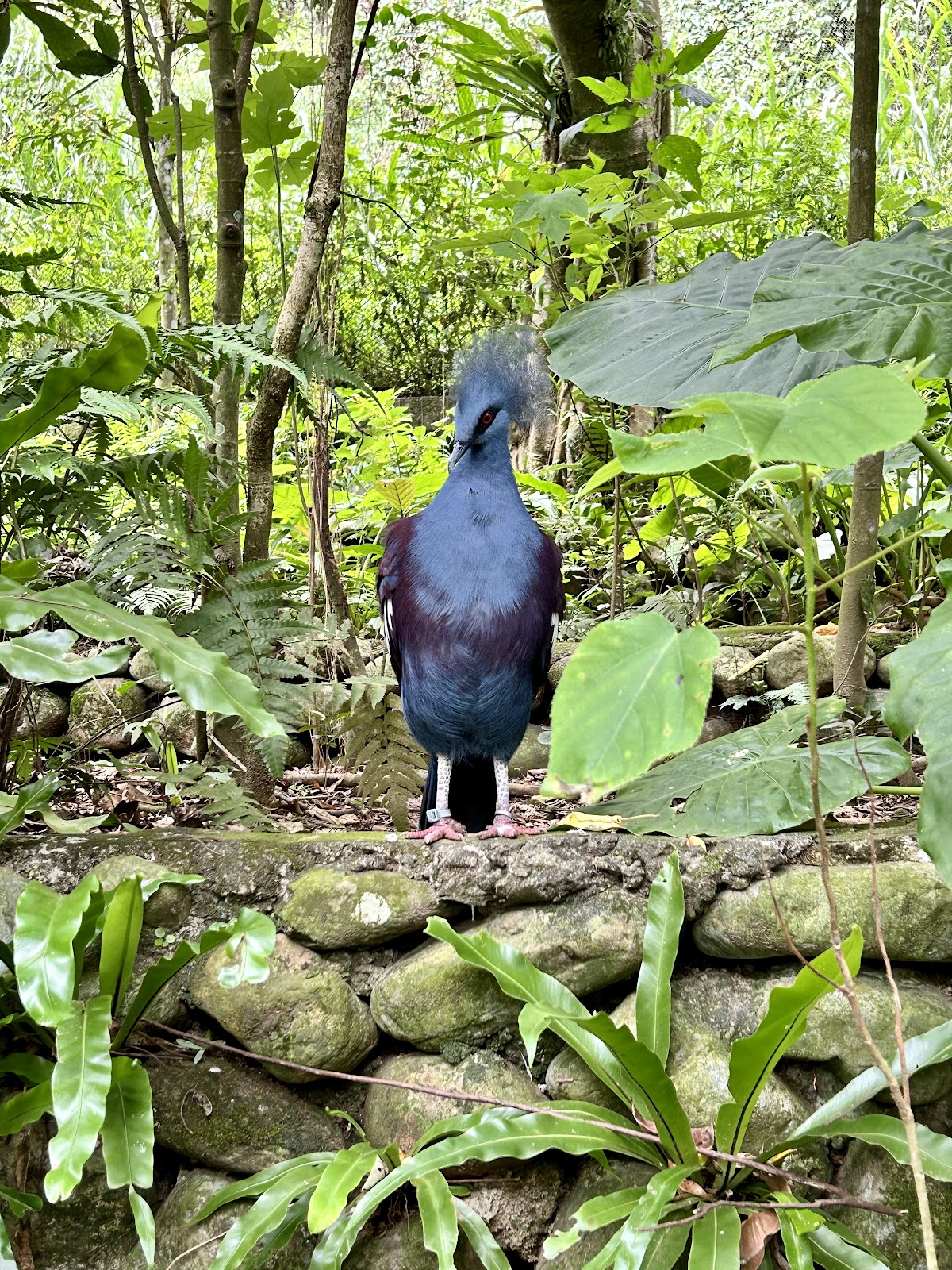 臺北市立動物園鳥園 店內環境照片 5