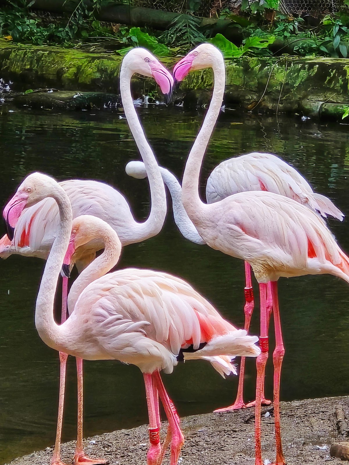 臺北市立動物園 店內環境照片 3
