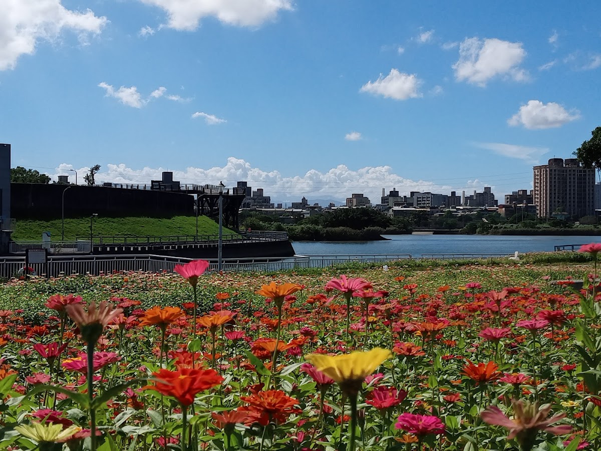 河雙21號河濱公園 店內環境照片 5