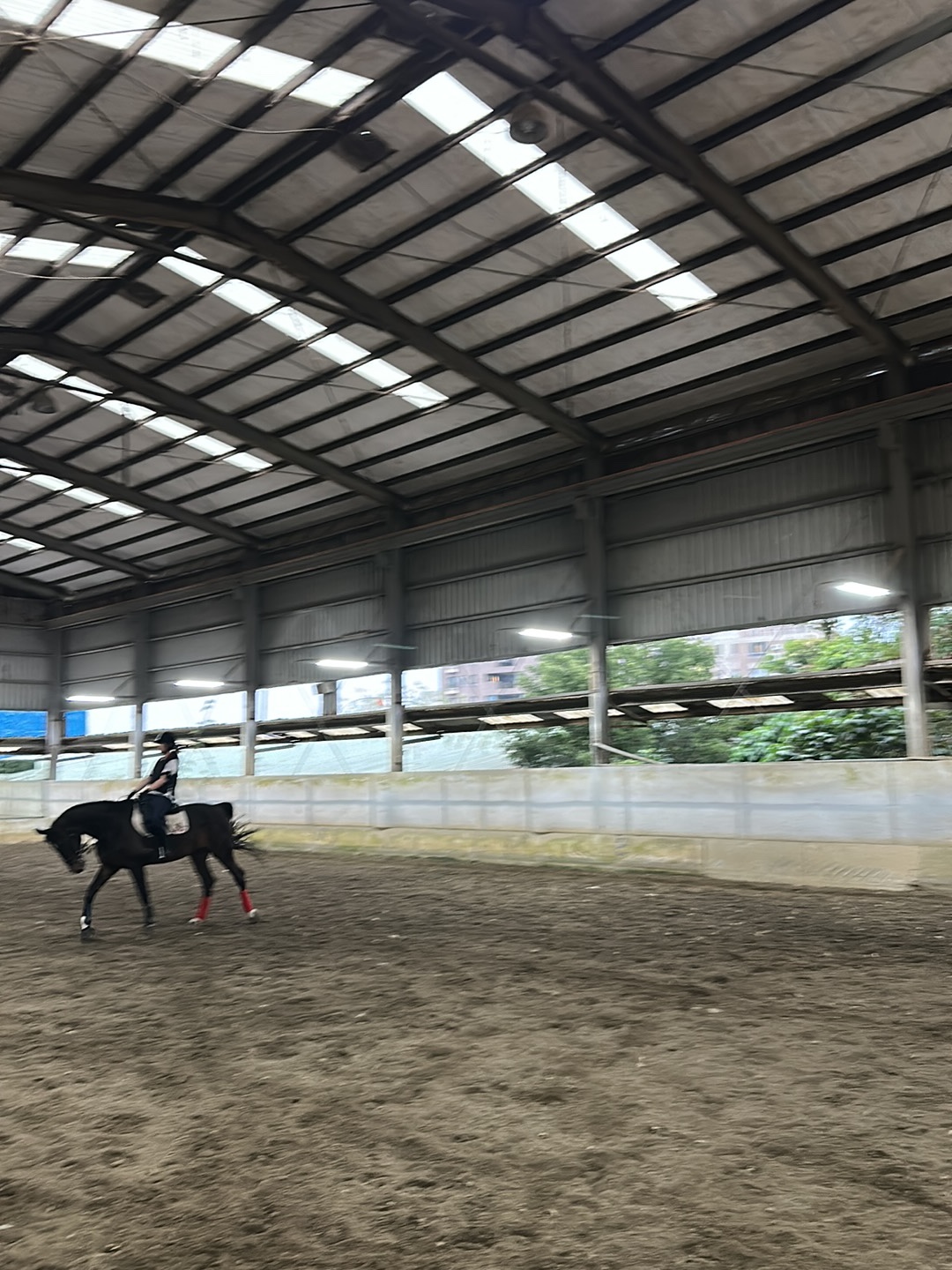 八里左岸馬場馬術推廣中心 店內環境照片 3