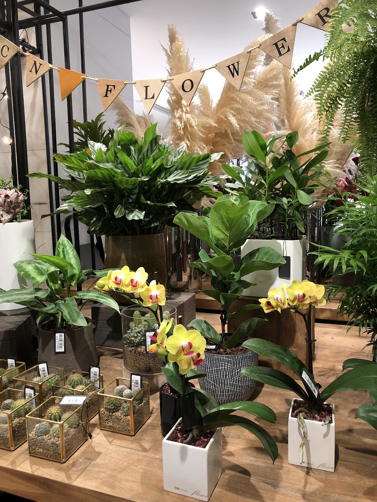 CNFlower西恩 誠品生活南西店 店內環境照片 3