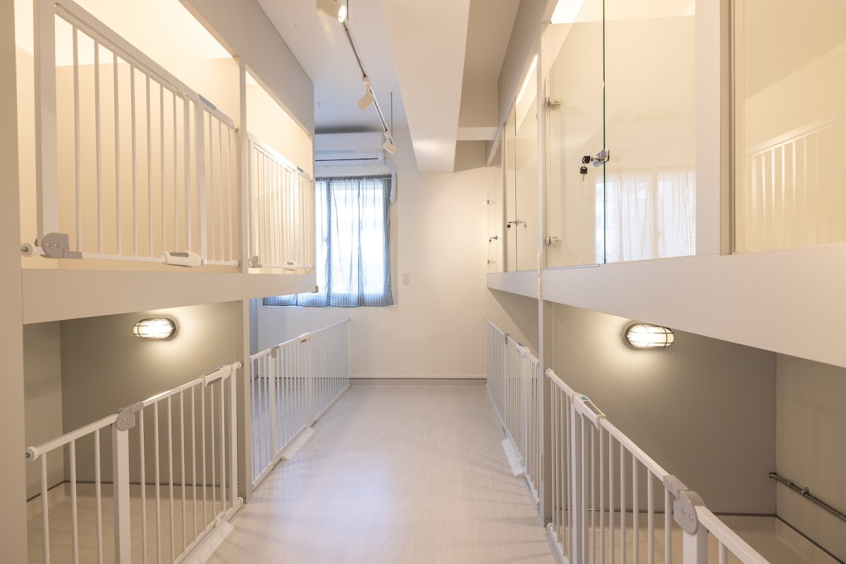 狗狗日常寵物旅館/寵物旅館/寵物美容/寵物自助洗/狗安親/狗住宿*全預約制* 店內環境照片 2