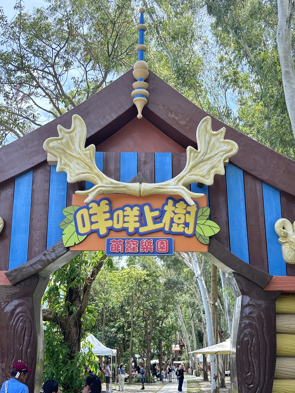 咩咩上樹萌寵樂園 店內環境照片 5