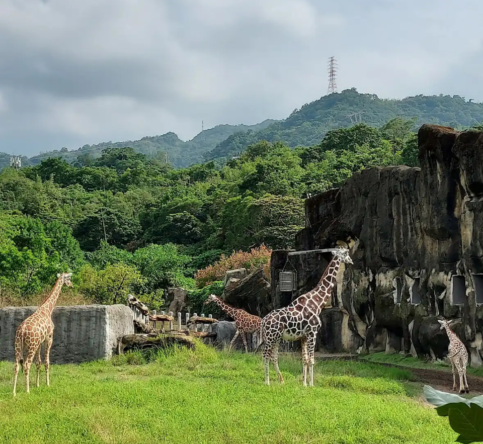 臺北市立動物園 店內環境照片 4