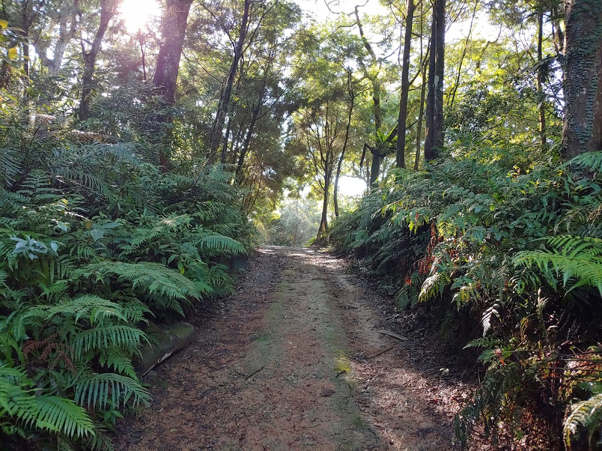 頭城台9線61k飛行傘起飛台 店內環境照片 5