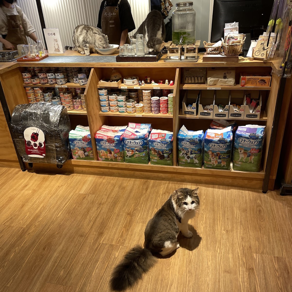 小春日和 動物雜貨‧珈琲 店內環境照片 4