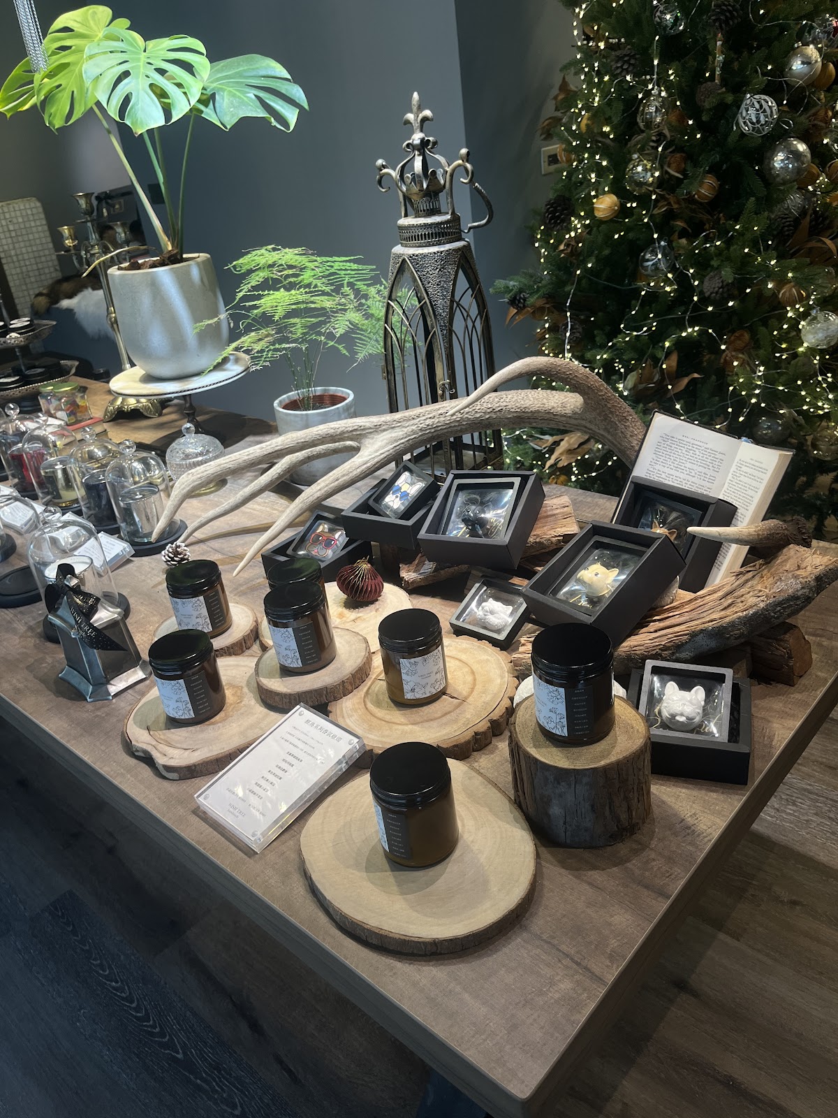 WISH TREE 香氛蠟燭（信義店） 店內環境照片 5