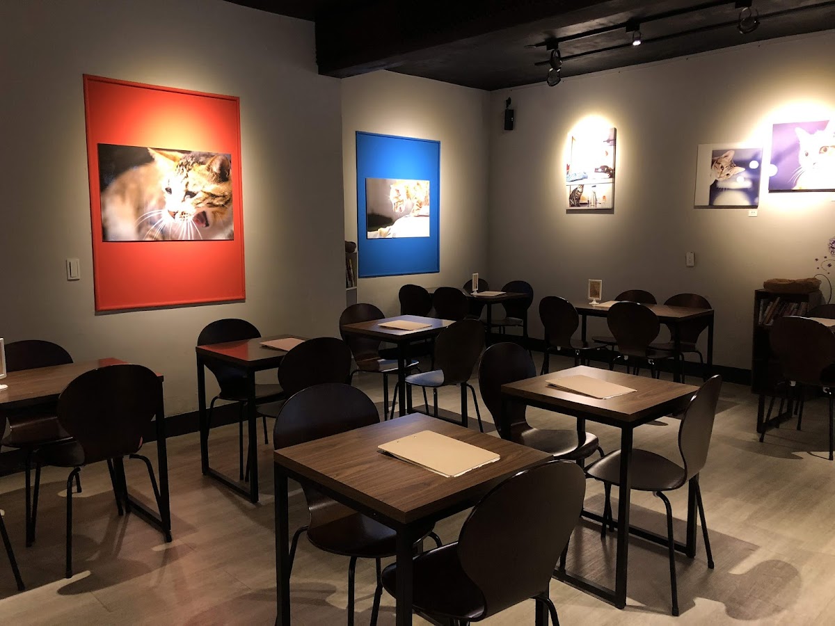 Baking Kedi Coffee Roastery 貓嘰咕自家烘焙咖啡 店內環境照片 2