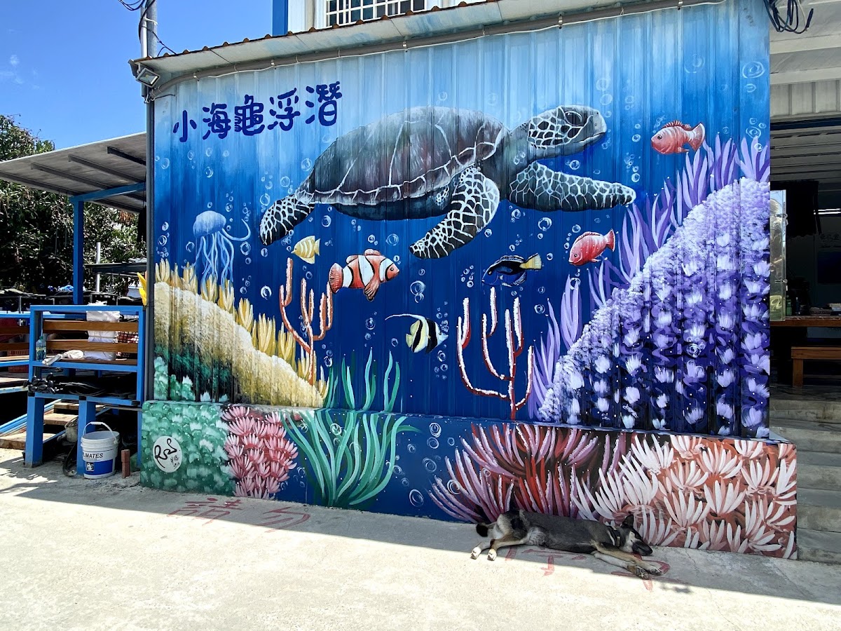 小海龜水上活動 店內環境照片 10