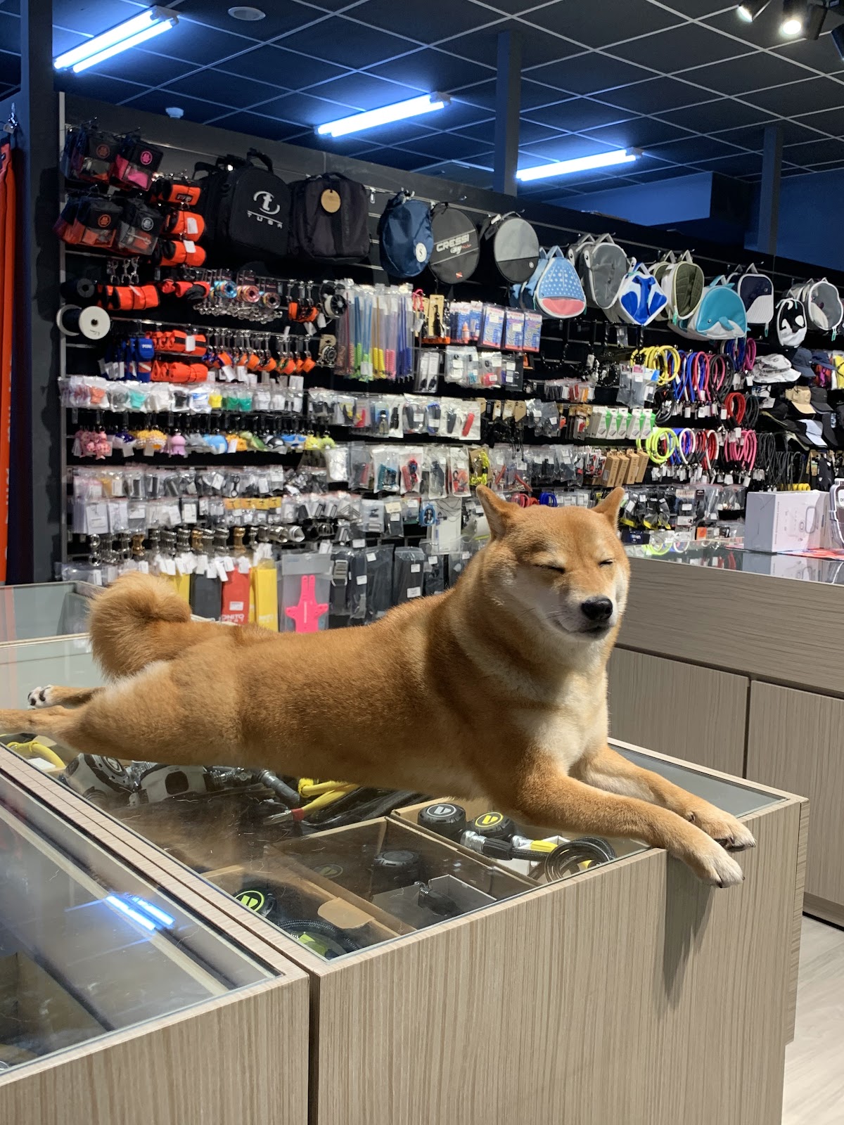 Scuba Warehouse Taiwan 專業潛水裝備店 店內環境照片 3