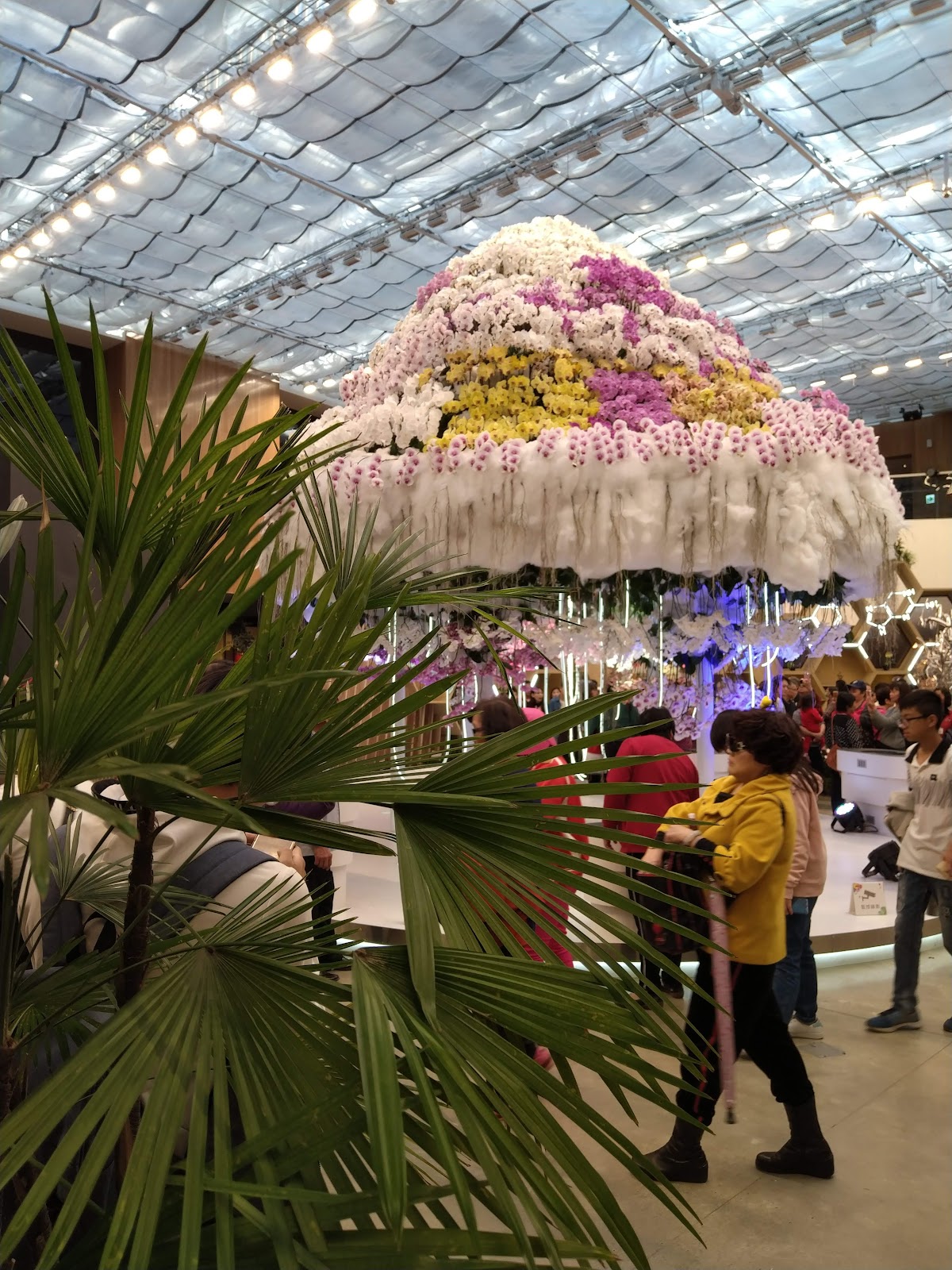 后里馬場－瘋馬大馬戲 店內環境照片 4