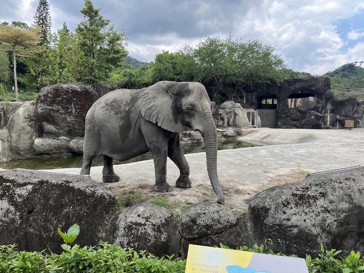 臺北市立動物園 店內環境照片 2