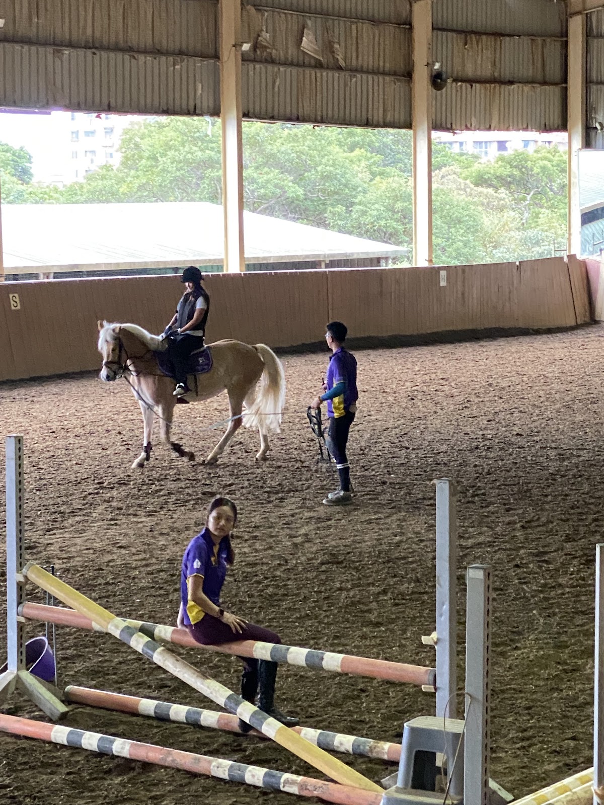 Magical Equestrian Center 店內環境照片 4
