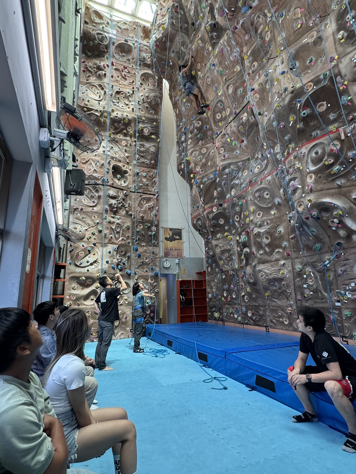 Y17 岩究所 攀岩場(青年局9F) 店內環境照片 4