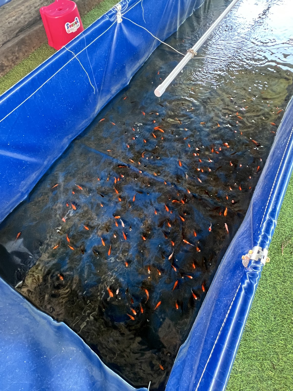 台北小奈良-淡水親子農場 梅花鹿 動物農場 淡水親子景點 淡水推薦景點 淡水觀光農場 好玩的親子景點 店內環境照片 5