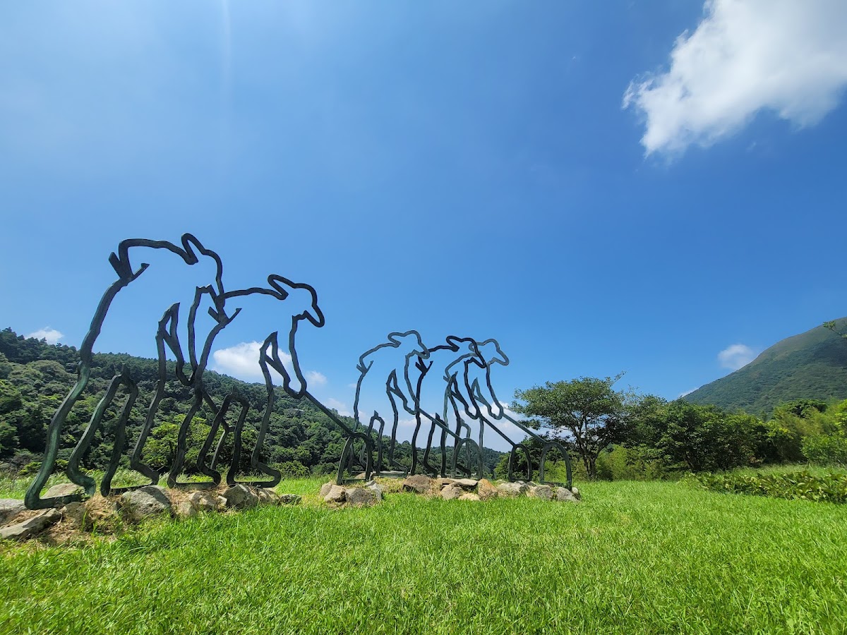 竹子湖藍鵲農園 店內環境照片 5