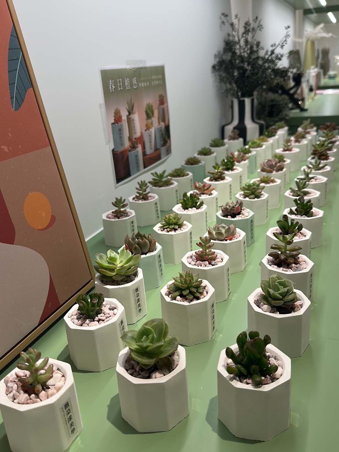 薇朵漾Spa 北新店｜新店區按摩｜新店SPA推薦｜精油舒壓｜女性專屬 店內環境照片 3