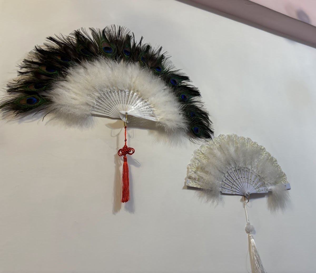 麗采耳—采耳掏耳專門店—台北採耳 東區掏耳 耳燭 銀珠洗眼 洗鼻 水飛梭清粉刺 身體SPA 采耳培訓 採耳教學 店內環境照片 5