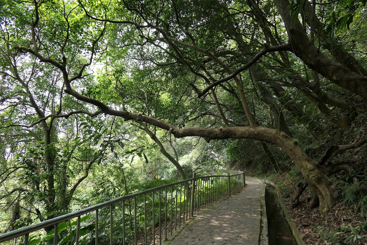 貴子坑親山步道 店內環境照片 3