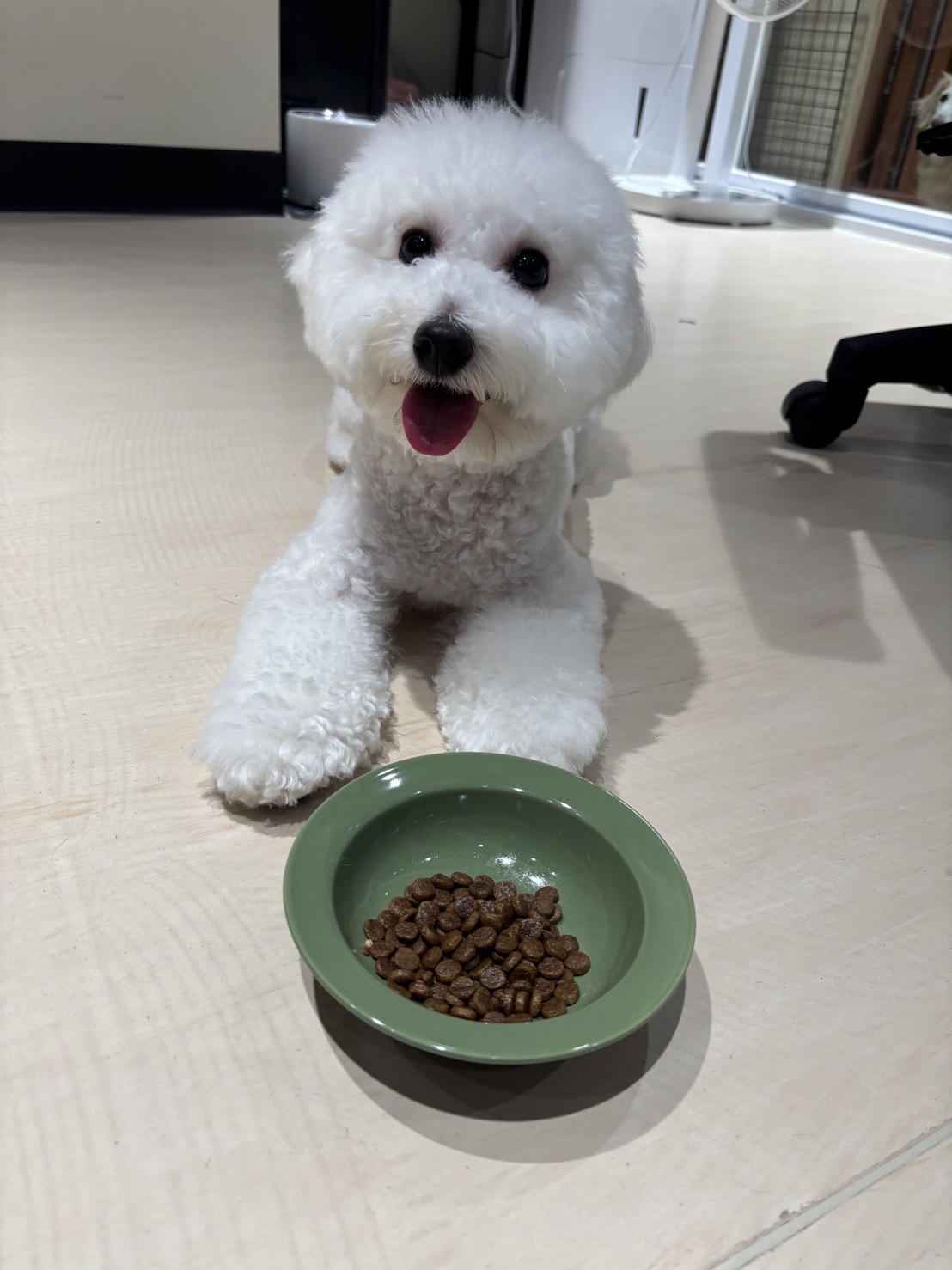 逗格寵物旅館DogoHotel 店內環境照片 4