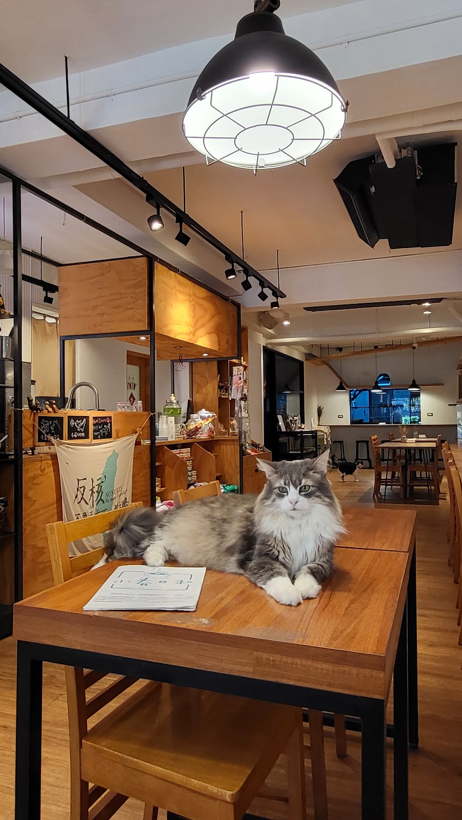 小春日和 動物雜貨‧珈琲 店內環境照片 5