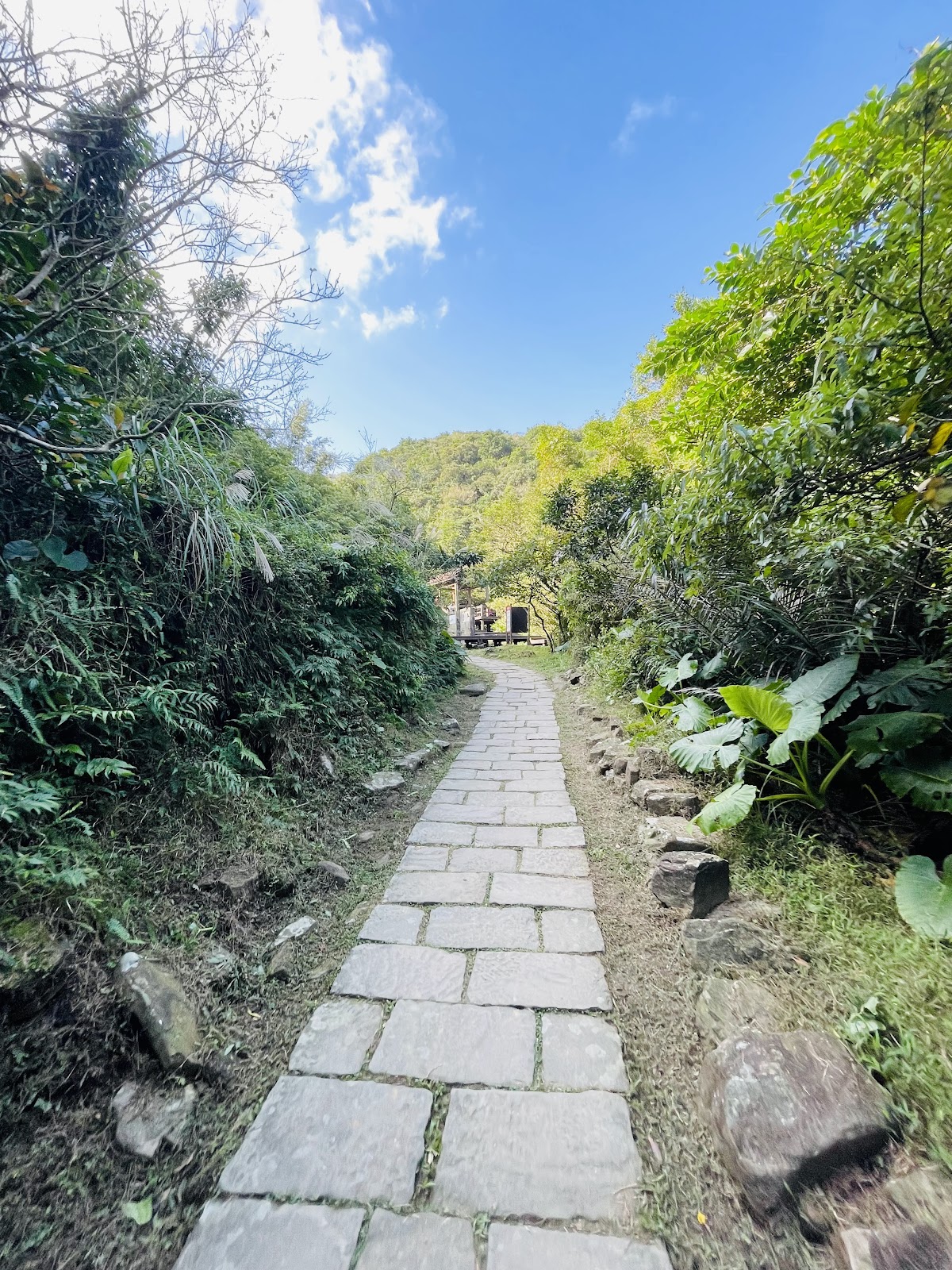 草嶺古道 店內環境照片 10