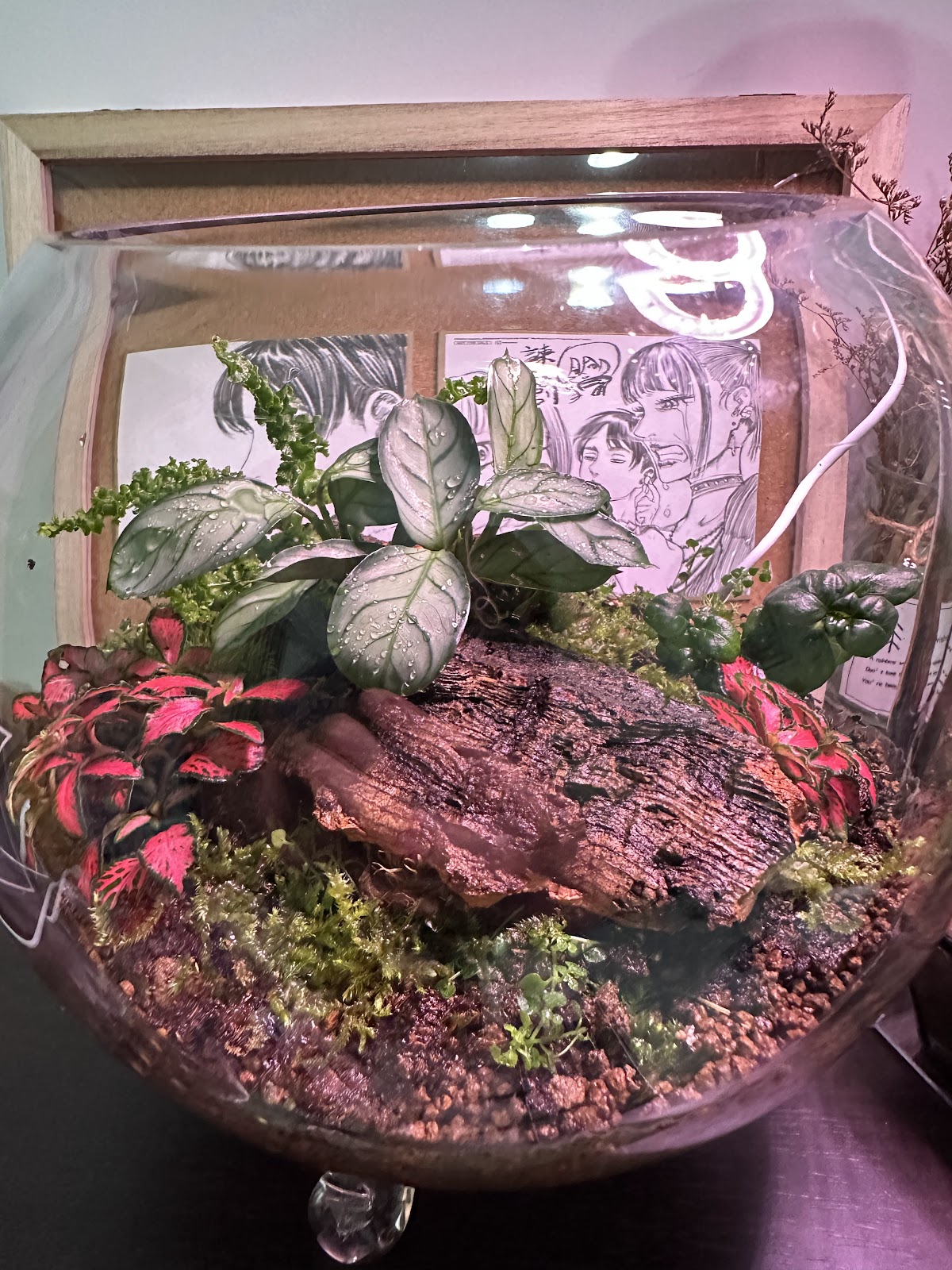 Moss.Farm微觀藝術坊 店內環境照片 4