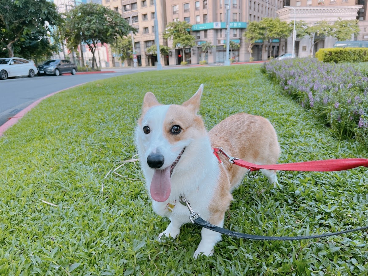 窩日寵物旅館 店內環境照片 2