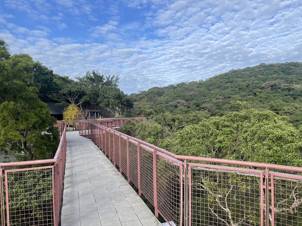 碧山露營場森林營區 店內環境照片 3