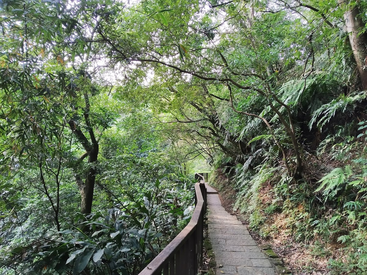 南港山親山步道 店內環境照片 4
