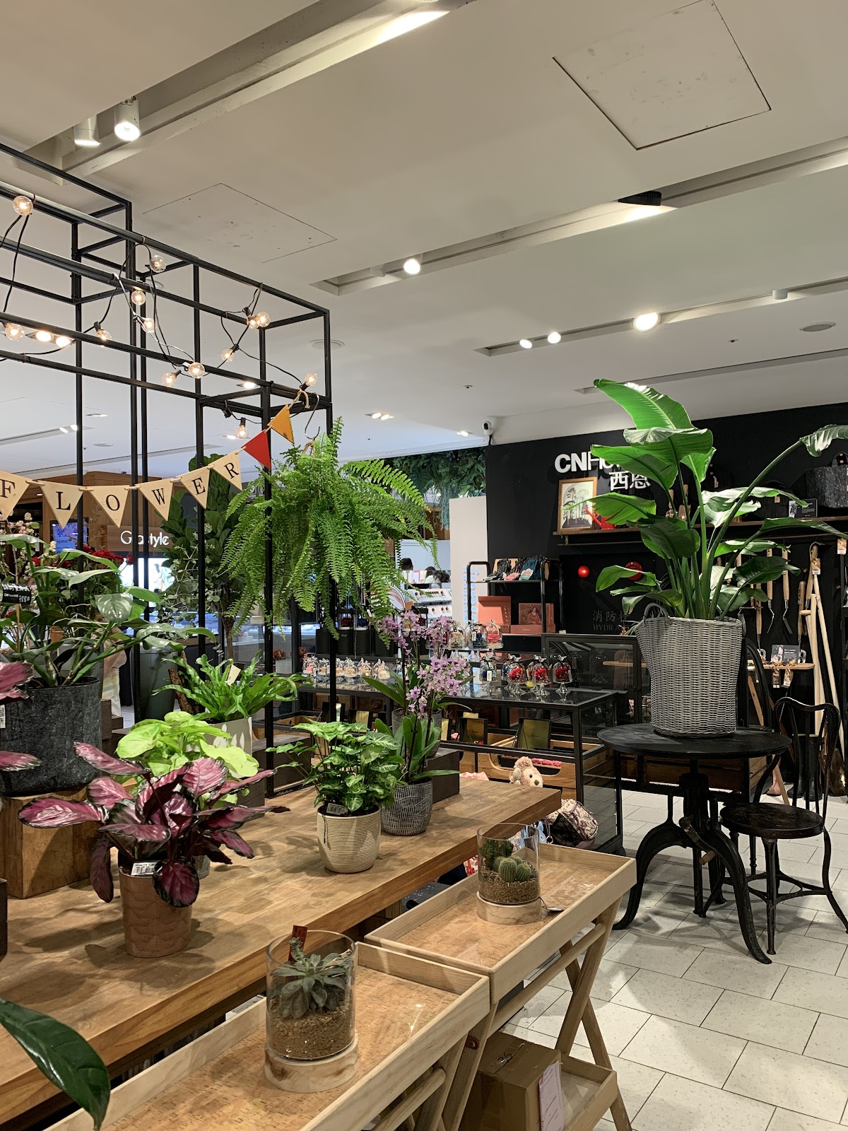CNFlower西恩 誠品生活南西店 店內環境照片 5