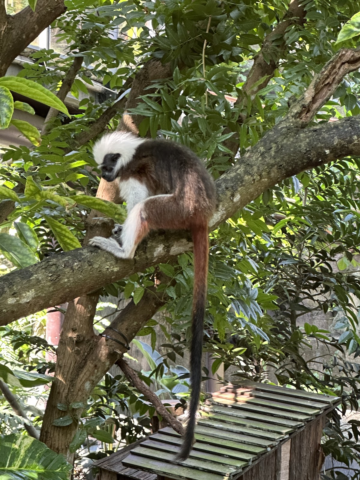 臺北市立動物園穿山甲館 店內環境照片 4