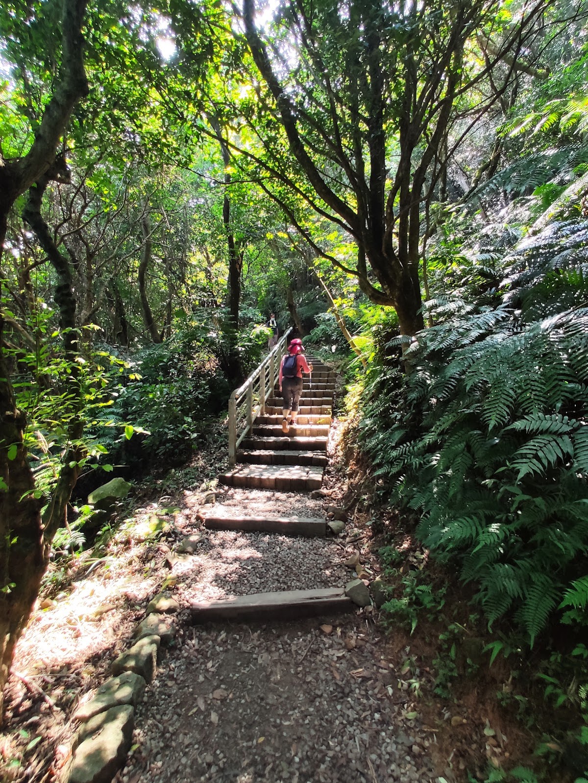 翠山步道 店家封面照片