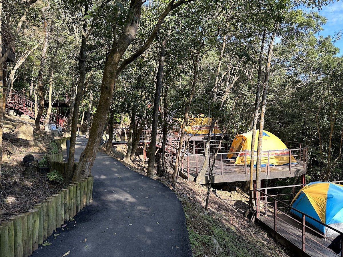 碧山露營場森林營區 店內環境照片 4