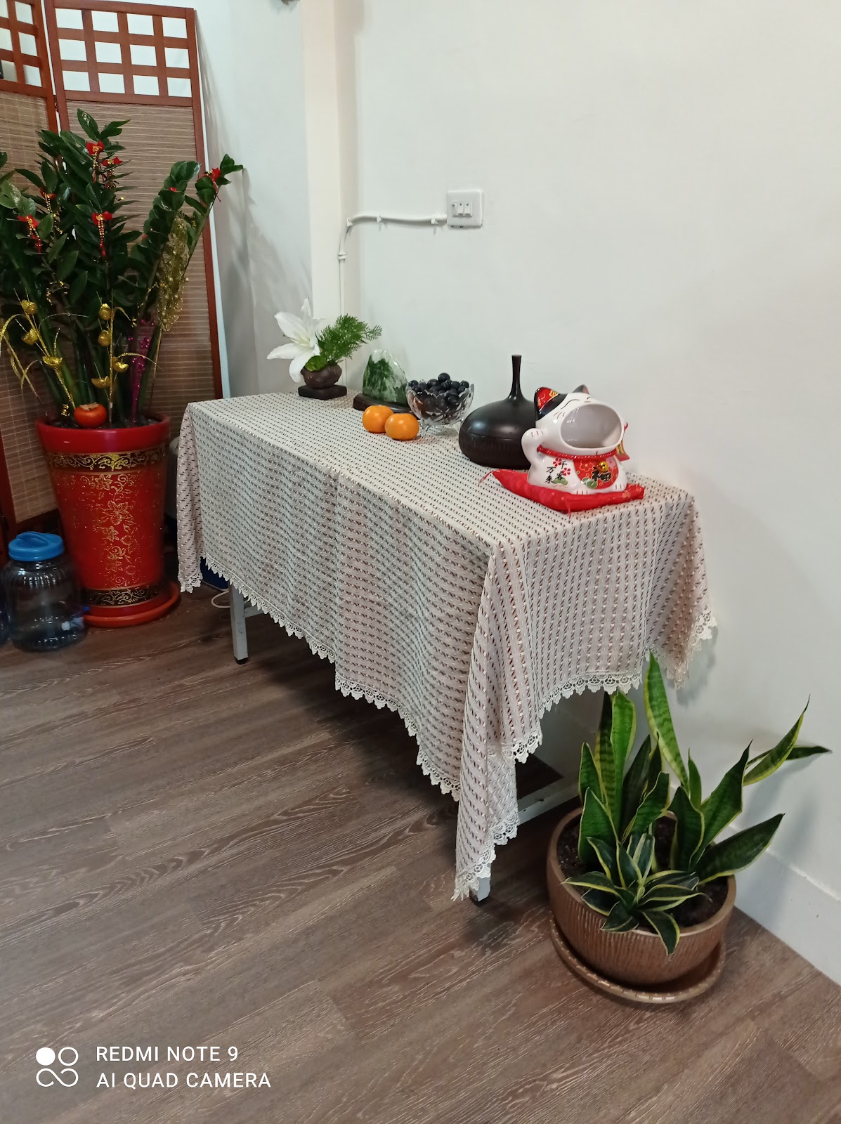 濟陽堂（花蓮縣傳統整復員職業工會） 店內環境照片 4