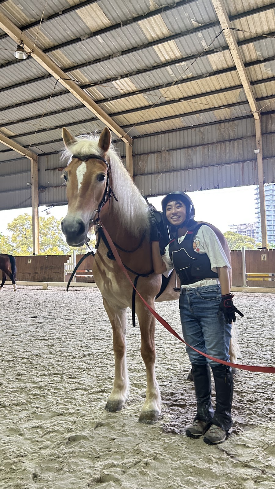 Magical Equestrian Center 店內環境照片 3