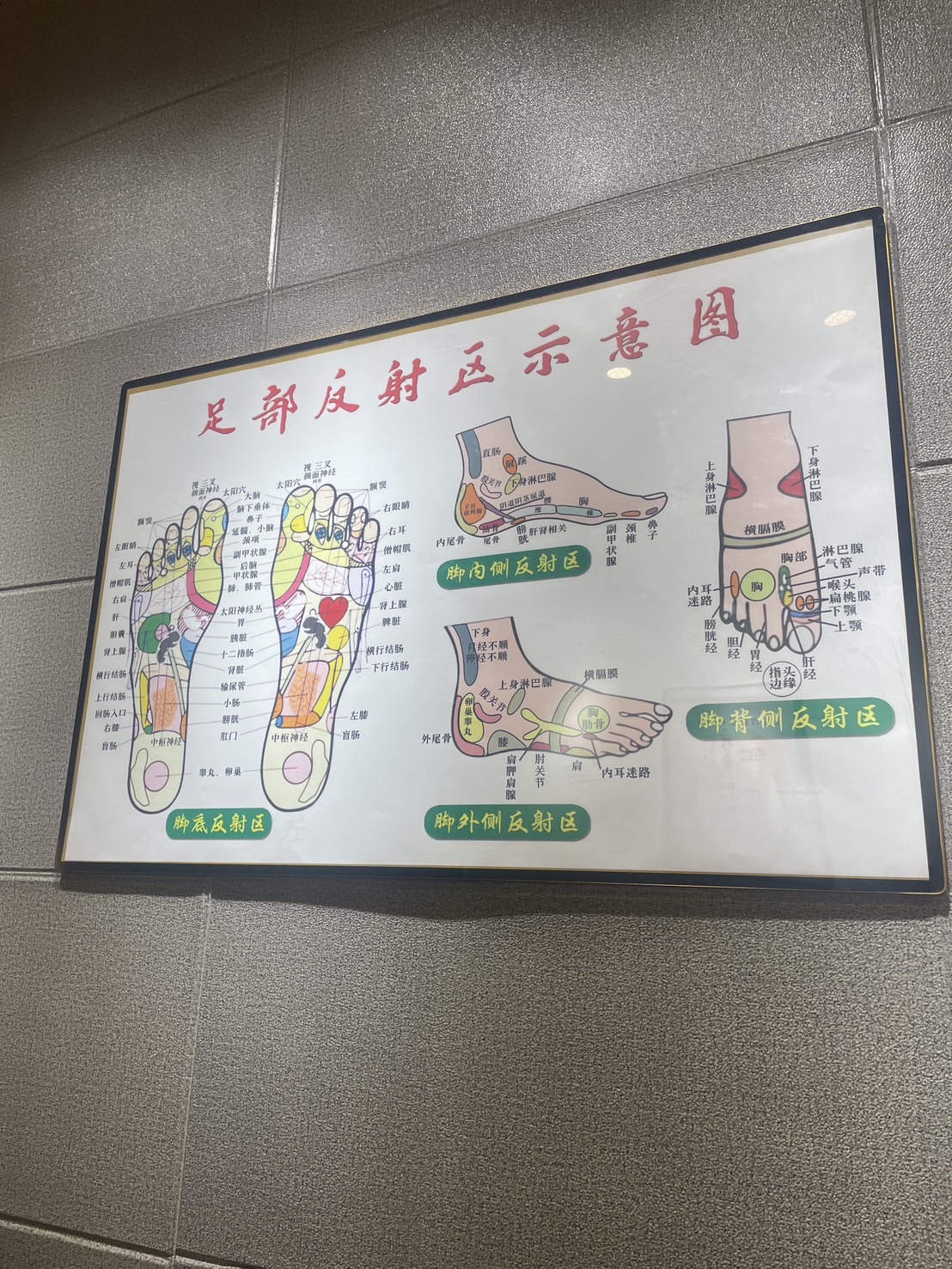 葡萄樹spa足體工作室 店內環境照片 5