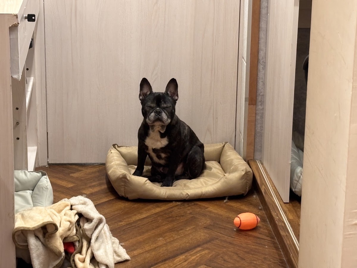 沐寓寵物旅館 Mooon Pets Hotel 店內環境照片 5