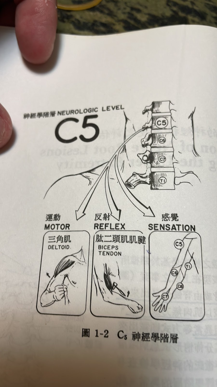 敏行健生中心 Motion on Spine Tech 店內環境照片 4