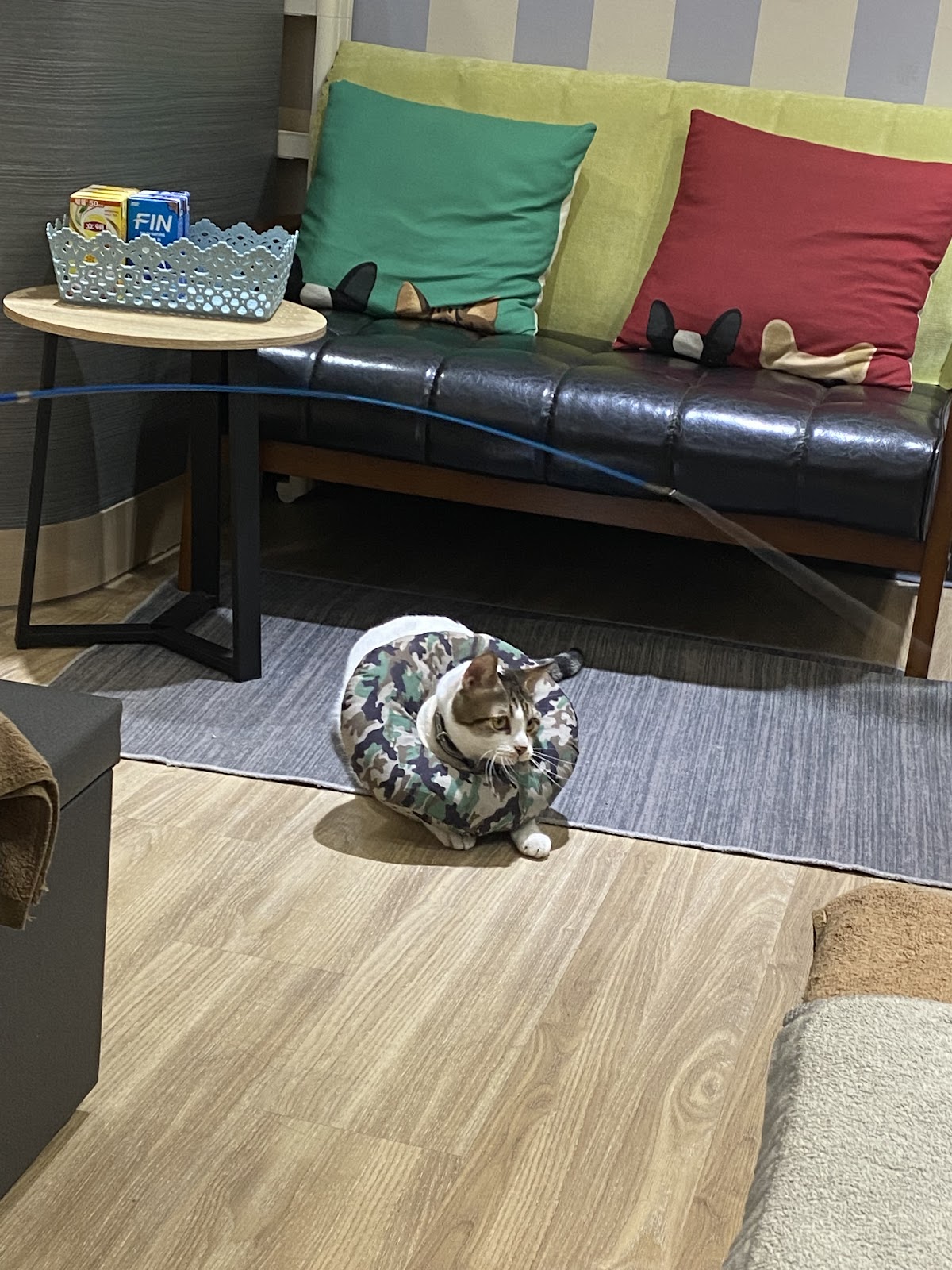 樂心養生館 店內環境照片 5